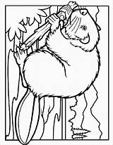 Beaver Coloring Pages Lodge Color Coloringbay Coloring2print sketch template