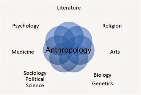 living in the library world anthropology