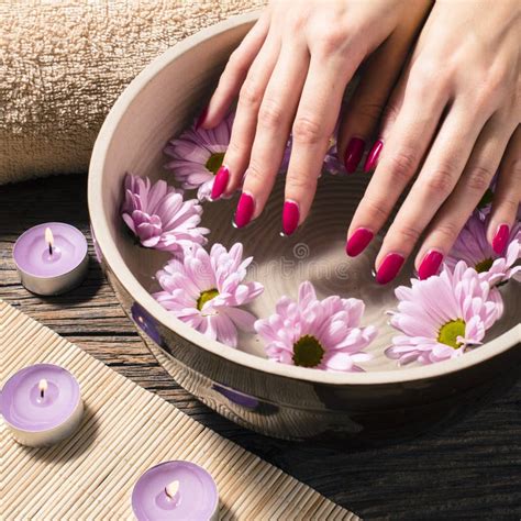 close    female hands  spa salon stock photo image  polish