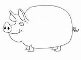 Pig Cute Coloring Pages sketch template