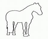 Horse Coloring Stencil Printable Pages Anatomy Book Info sketch template