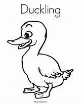 Duckling Coloring Duck Pages Ugly Ducklings Template Drawing Color Way Make Cute Colouring Printable Noodle Twisty Outline Clipart Loosey Goosey sketch template