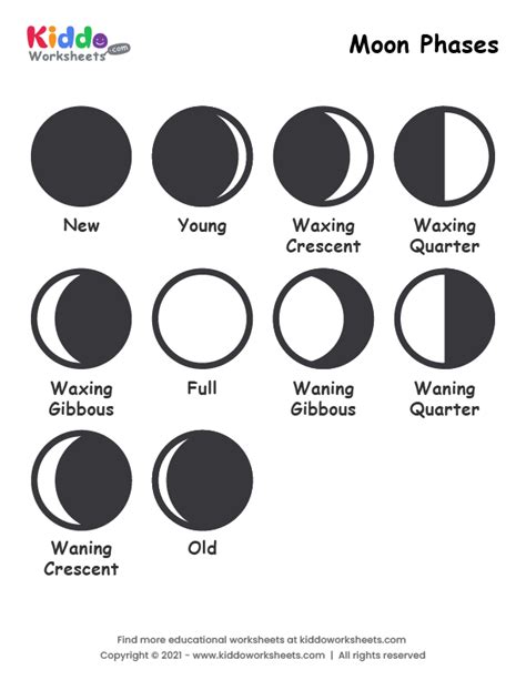 printable moon phases worksheet kiddoworksheets