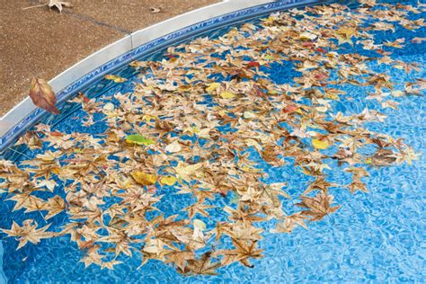 How To Keep Your Pool Cover Free Of Leaves And Other Debris