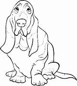 Basset Hound Cartoon Coloring Dog sketch template