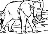 Mammoth Elefant Colorat Elephant Wooly Plansa Planse Elefantul Clopotel Mewarnai Hitam Dinosaurus Putih Animale Cea Coloreaza Frumoasa sketch template