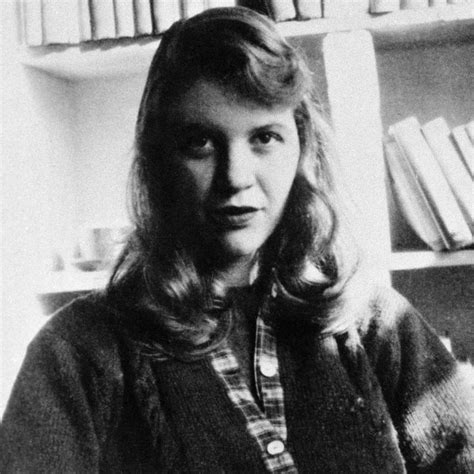 do we have a new sylvia plath sex scandal
