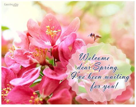 spring  cards animated pics quotes
