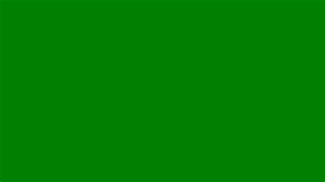 green web color solid color background