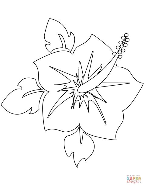 blooming hibiscus flower coloring page  printable coloring pages
