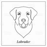 Labrador Outline sketch template