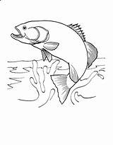 Fish Coloring Pages Realistic Printable Kids sketch template