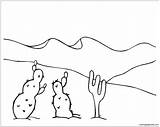 Desert Coloring Pages Cactus Oasis Color Getdrawings Getcolorings sketch template