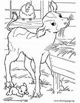 Coloring Calf Pages Baby Cute Farm Printable Cows Calves Barn Colouring Print Kids Para Fun Colorir Desenhos Animals Color Hay sketch template