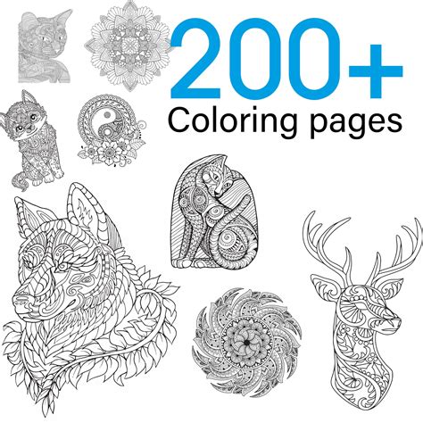 printable animal coloring pages  christopher myersas coloring pages