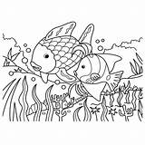 Zee Mooiste Vissen Dieren Visjes Tekening Rainbow Colorare Leukvoorkids Tekeningen Lettere Uitprinten Regenboog Volwassenen Doodle Zeemeermin Downloaden Terborg600 sketch template