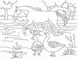 Mewarnai Tk Hewan Kelas Binatang Peliharaan Pola Mendidik Ulang Naruto Kls Planse Aneka Sketsa Colorat Albi Coloriages Animale Pemandangan Cal sketch template
