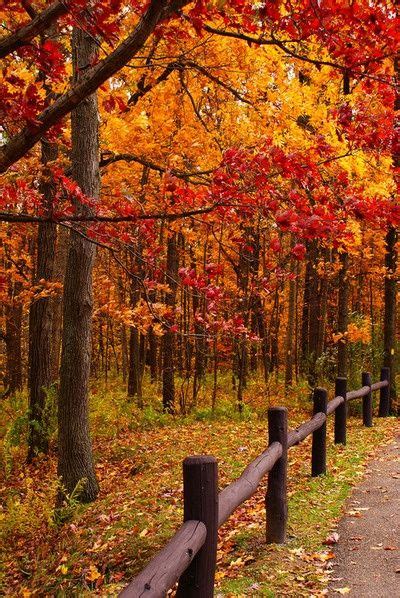 pin by sharon jones on awesome autumn autumn scenes