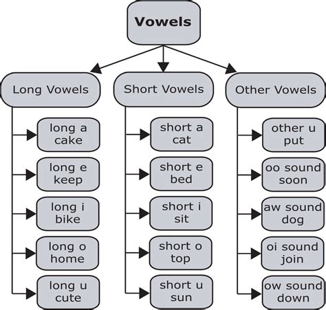 learn   pronounce   vowel sounds  american english