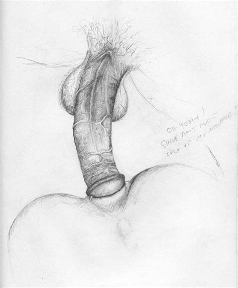 cock drawing erotic adult archive