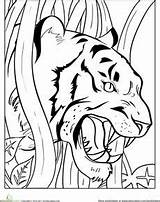 Coloring Tiger Pages Clemson Tigers Growling Animal Cub Animals Angry Wild Color Kids Colouring Printable Sheets Teeth Painting Worksheet Drawings sketch template