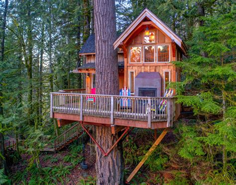 treehouse   washington state home   nicer