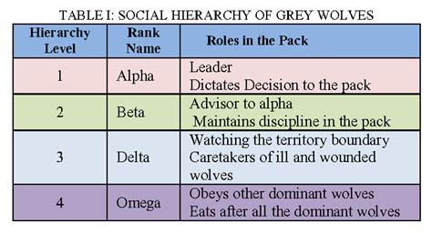wolves social hierarchy wolves social structure