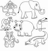Animais Coloring Mamiferos Africanos Dieren Mamíferos Africains Selva Coloration Colorindo Africani Coloritura Elefante Afrikaanse Macaco sketch template