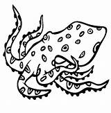 Octopus Ringed Designlooter sketch template