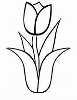 Tulipa Tudodesenhos sketch template