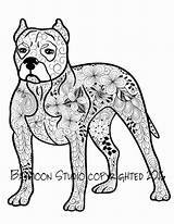 Pitbull Drawing Line Nose Red Getdrawings sketch template