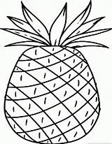Pineapple Ananas Pineapples Aba Imprimir sketch template