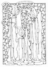 Malvorlage Kerzen Kerze Malvorlagen sketch template