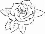 Coloring Rose Pages Roses Color Drawing Familyfuncartoons Flower Realistic Flowers Small Colored Drawings Print Cool Printable Kids Book sketch template