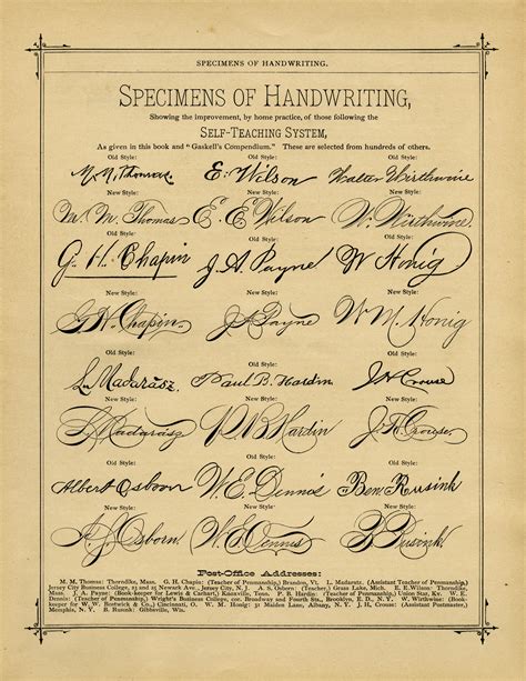 penmanship handwriting specimens  printable vintage book page