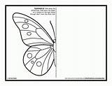 Symmetry Butterfly Kids Coloring Activity Pages Drawing Printable Worksheets Activities Sheets Symmetrical Mirror Draw Grade Template Artforkidshub Bug Pdf Color sketch template