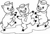 Pigs Three Little Dancing Coloring Drawings Pages Pig Threelittlepigs Drawing Wolf Gif sketch template