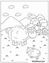 Sheep Coloring Verbnow sketch template