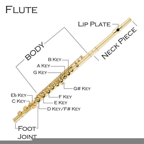 flute diagram  images  clkercom vector clip art  royalty  public domain