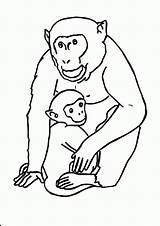 Coloring Gorilla Printable Pages Monkey Template Animal Pdf Cute Funny Templates Kids Popular Coloringhome Comments sketch template