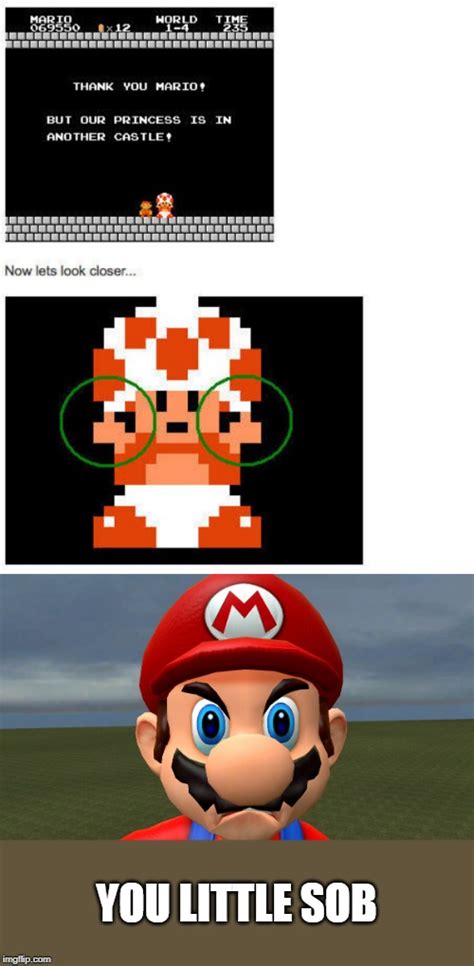Super Mario Memes Español Humourve