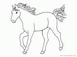 Kids Horse Drawing Coloring Pages Drawings Simple Horses Becuo Easy Template Clipart Print Basic Getdrawings Visit Library Azcoloring Choose Board sketch template