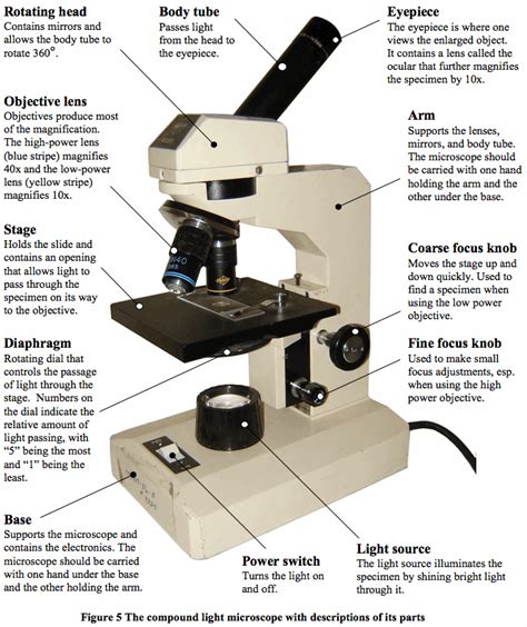 microscope parts ms angs class