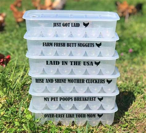 chicken owners    hilarious egg cartons