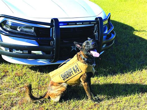 Cook County Sheriffs Office K9 Fievel Receives Donation Of Body Armor