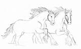 Clydesdales Clydesdale Ava sketch template