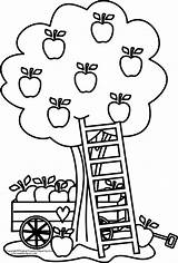 Coloring Apple Tree Pages Clipart Printable Basket Kids Clip Fall Print Color Library Fruit Picking Cliparts Colouring Trees Sheets Book sketch template