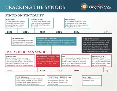 synod  synodality  dallas diocesan synod whats