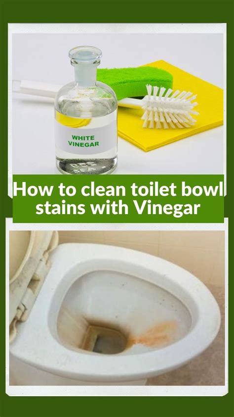 clean toilet bowl tough stains  vinegar toilet cleaning