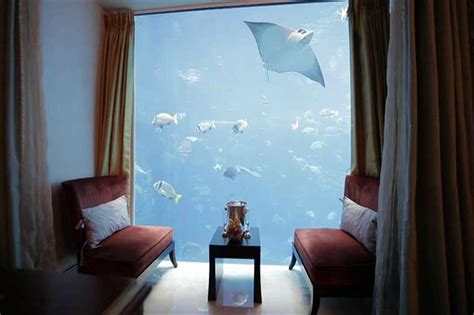 worlds coolest underwater hotel rooms loveexploringcom